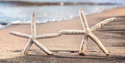 starfish couple